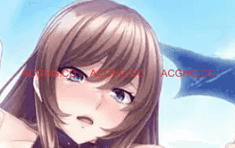 【ADV/中文/CV】大屌收服女将与公主v1.10【电脑/1G】