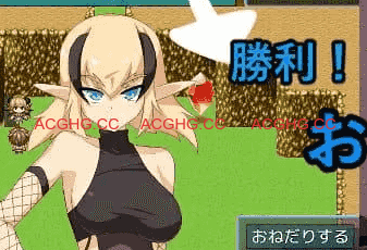 【RPG/AI汉化/MTool】魅魔之岛v1.0.0【PC/1.2G】